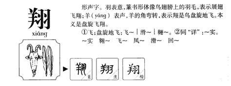 翔的五行|翔的意思,翔的解释,翔的拼音,翔的部首,翔的笔顺